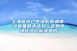 上海居转户中级职称通道，社保基数未达到一定的市场化评价标准图片