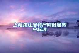 上海张江居转户降低居转户标准