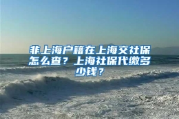 非上海户籍在上海交社保怎么查？上海社保代缴多少钱？