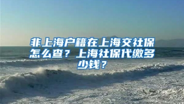 非上海户籍在上海交社保怎么查？上海社保代缴多少钱？