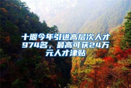 十堰今年引进高层次人才974名，最高可获24万元人才津贴