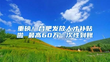 重磅！合肥发放人才补贴啦 最高60万一次性到账