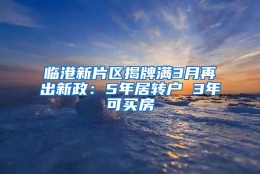 临港新片区揭牌满3月再出新政：5年居转户 3年可买房