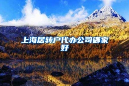 上海居转户代办公司哪家好