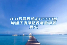 831万网民热击12333智询通工资津贴养老金问题最火