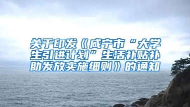 关于印发《咸宁市“大学生引进计划”生活补贴补助发放实施细则》的通知