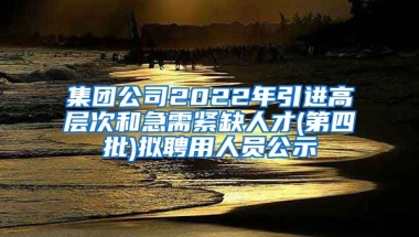 集团公司2022年引进高层次和急需紧缺人才(第四批)拟聘用人员公示