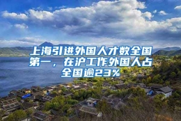 上海引进外国人才数全国第一，在沪工作外国人占全国逾23%