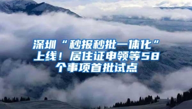 深圳“秒报秒批一体化”上线！居住证申领等58个事项首批试点