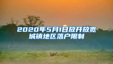 2020年5月1日放开放宽城镇地区落户限制