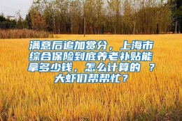 满意后追加赏分，上海市综合保险到底养老补贴能拿多少钱，怎么计算的 ？大虾们帮帮忙？