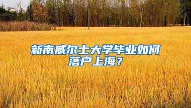 新南威尔士大学毕业如何落户上海？