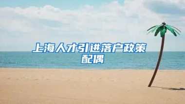 上海人才引进落户政策 配偶