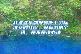 我这些年都按最低工资标准交的社保，没有缴纳个税，是不是没办法