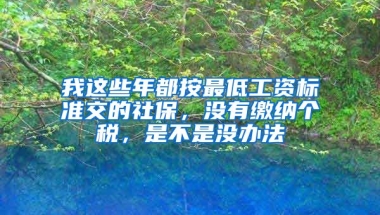 我这些年都按最低工资标准交的社保，没有缴纳个税，是不是没办法