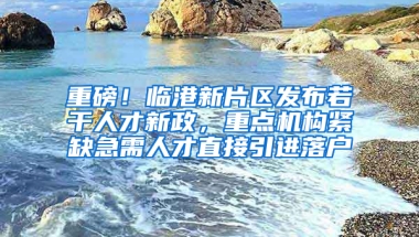 重磅！临港新片区发布若干人才新政，重点机构紧缺急需人才直接引进落户