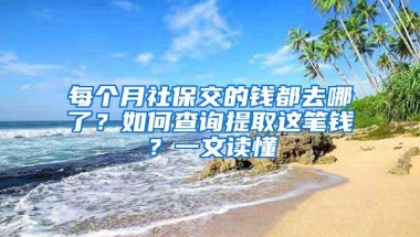 每个月社保交的钱都去哪了？如何查询提取这笔钱？一文读懂