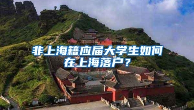 非上海籍应届大学生如何在上海落户？