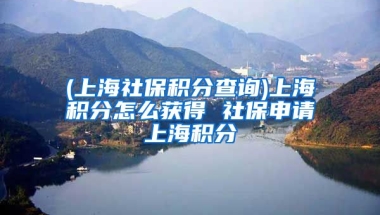 (上海社保积分查询)上海积分怎么获得 社保申请上海积分