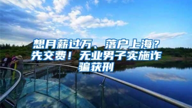 想月薪过万、落户上海？先交费！无业男子实施诈骗获刑