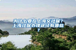 为什么要在上海交社保？上海社保办理途径有哪些？