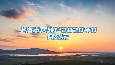 上海市居转户2020年11月公示