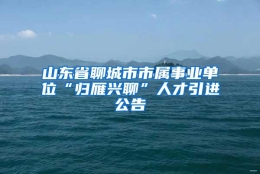 山东省聊城市市属事业单位“归雁兴聊”人才引进公告