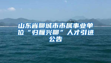 山东省聊城市市属事业单位“归雁兴聊”人才引进公告