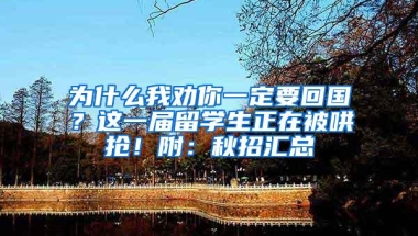 为什么我劝你一定要回国？这一届留学生正在被哄抢！附：秋招汇总