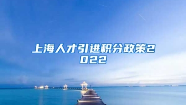 上海人才引进积分政策2022