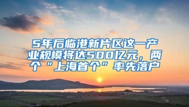 5年后临港新片区这一产业规模将达500亿元，两个“上海首个”率先落户