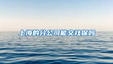 上海的分公司能交社保吗