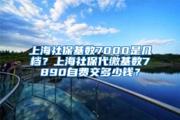 上海社保基数7000是几档？上海社保代缴基数7890自费交多少钱？