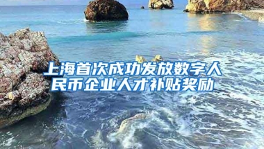 上海首次成功发放数字人民币企业人才补贴奖励