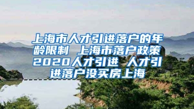 上海市人才引进落户的年龄限制 上海市落户政策2020人才引进 人才引进落户没买房上海