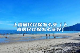 上海居民社保怎么交（上海居民社保怎么交好）