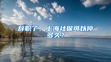 辞职了，上海社保可以停多久？