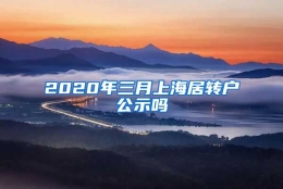 2020年三月上海居转户公示吗