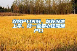 农村户口再好，想在深圳上学，就一定要办理深圳户口