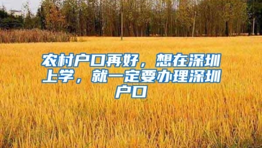 农村户口再好，想在深圳上学，就一定要办理深圳户口