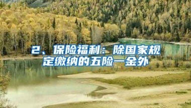 2、保险福利：除国家规定缴纳的五险一金外