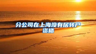 分公司在上海没有居转户资格