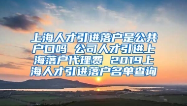 上海人才引进落户是公共户口吗 公司人才引进上海落户代理费 2019上海人才引进落户名单查询