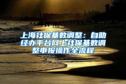 上海社保基数调整：自助经办平台网上社保基数调整申报操作全流程