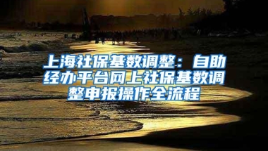 上海社保基数调整：自助经办平台网上社保基数调整申报操作全流程