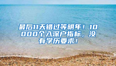 最后11天错过等明年！10000个入深户指标，没有学历要求！