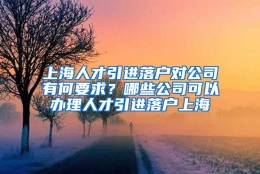 上海人才引进落户对公司有何要求？哪些公司可以办理人才引进落户上海