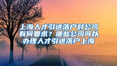 上海人才引进落户对公司有何要求？哪些公司可以办理人才引进落户上海