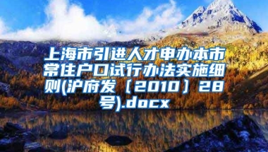 上海市引进人才申办本市常住户口试行办法实施细则(沪府发〔2010〕28号).docx