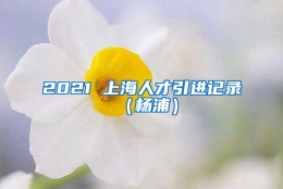 2021 上海人才引进记录（杨浦）